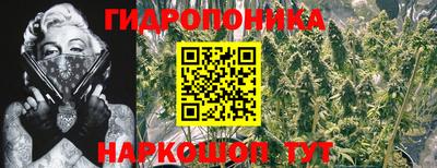 МДПВ Донецк