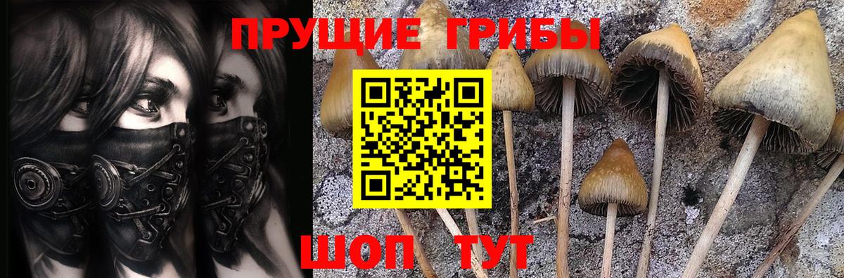 Псилоцибиновые грибы прущие грибы  Вход с VPN  Галлюциногенные грибы Psilocybe  Чехов 