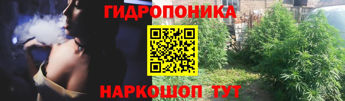 Конопля Ganja  Вход с VPN  Шишки марихуана марихуана  Шишки марихуана SATIVA & INDICA  Чехов  МАРИХУАНА конопля 